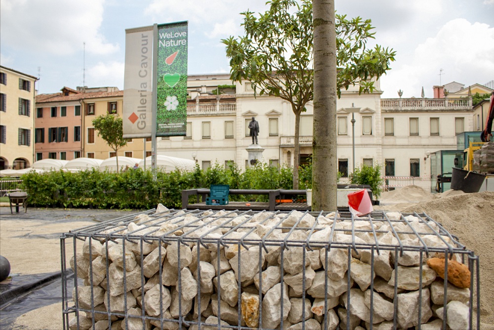 La festa degli Alberi Alì - Padova, Piazza Cavour - 19 maggio - 3 giugno  2018. La natura con Alì si riappropria della città - Padova24Ore